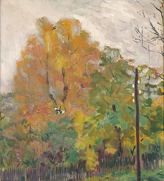 Bernhard Folkestad Deciduous trees in fall suit with cuts